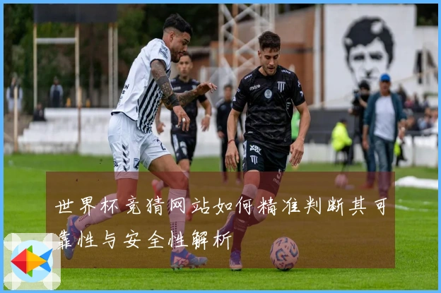 世界杯竞猜网站如何精准判断其可靠性与安全性解析
