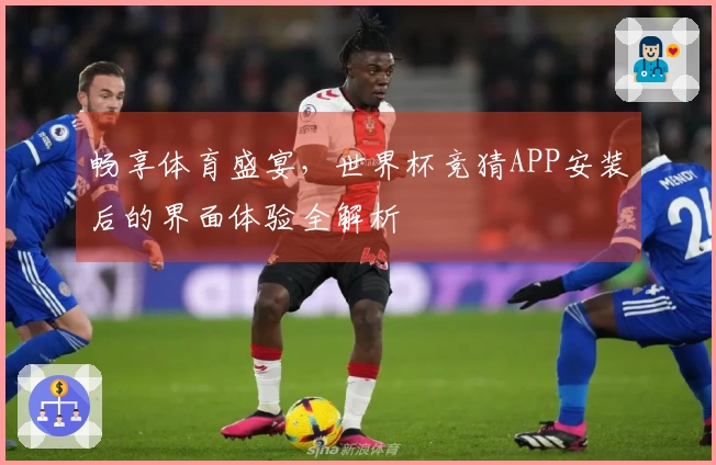 畅享体育盛宴，世界杯竞猜APP安装后的界面体验全解析