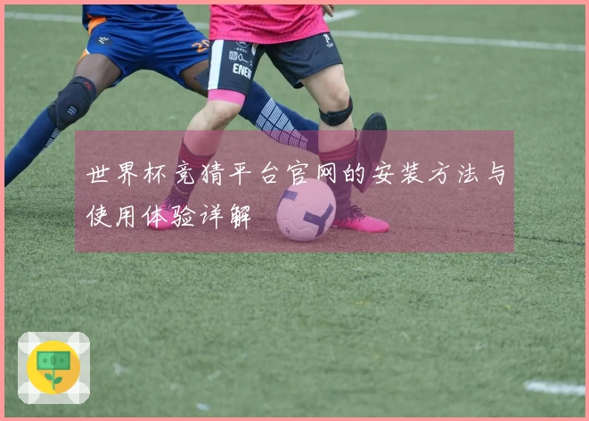 世界杯竞猜平台官网的安装方法与使用体验详解