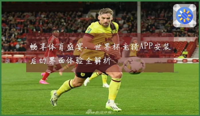 畅享体育盛宴，世界杯竞猜APP安装后的界面体验全解析