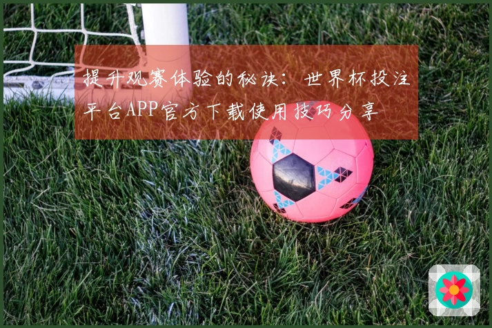 提升观赛体验的秘诀:世界杯投注平台APP官方下载使用技巧分享