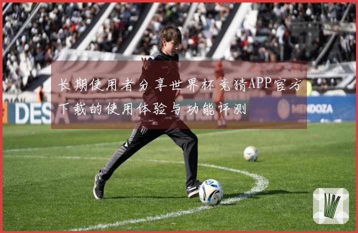 长期使用者分享世界杯竞猜APP官方下载的使用体验与功能评测
