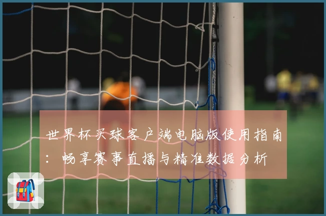 世界杯买球客户端电脑版使用指南：畅享赛事直播与精准数据分析