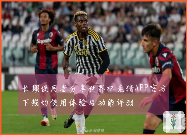 长期使用者分享世界杯竞猜APP官方下载的使用体验与功能评测