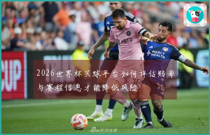 2026世界杯买球平台如何评估赔率与赛程信息才能降低风险