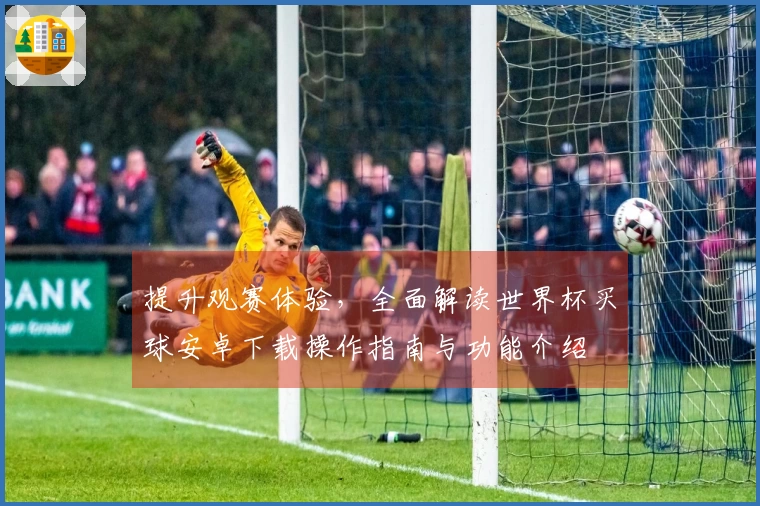 提升观赛体验，全面解读世界杯买球安卓下载操作指南与功能介绍