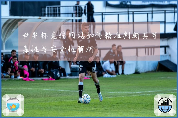 世界杯竞猜网站如何精准判断其可靠性与安全性解析