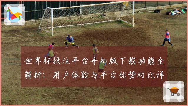 世界杯投注平台手机版下载功能全解析：用户体验与平台优势对比详解